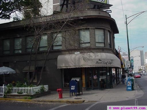 Basil Leaf Cafe , Chicago