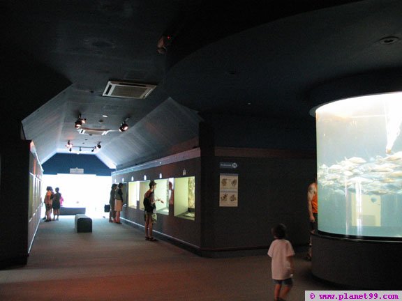 Bermuda Aquarium