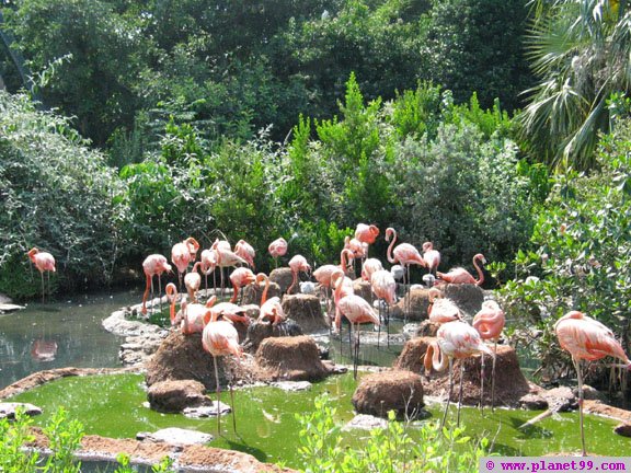 Bermuda Aquarium and Zoo , Flatts, Bermuda