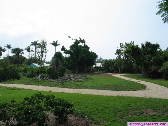 Botanical Gardens , Paget, Bermuda