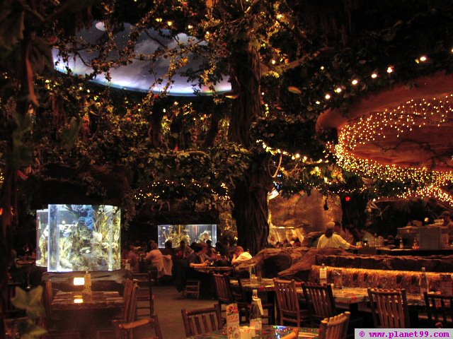 Las Vegas , Rainforest Cafe