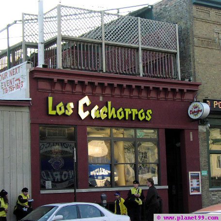 Los Cachorros  , Chicago