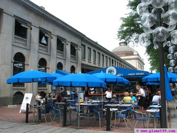 Salty Dog , Boston