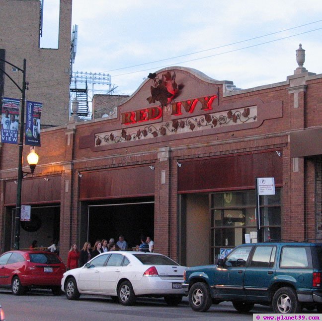 Red Ivy , Chicago