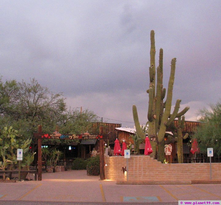 Horny Toad Restaurant , Cave Creek