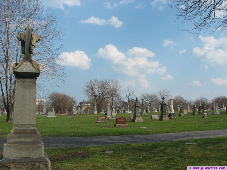 St Boniface Cemetary - Catholic , Chicago