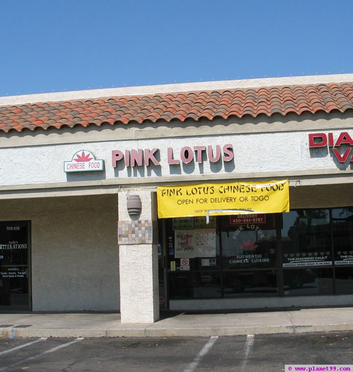 Pink Lotus , Scottsdale
