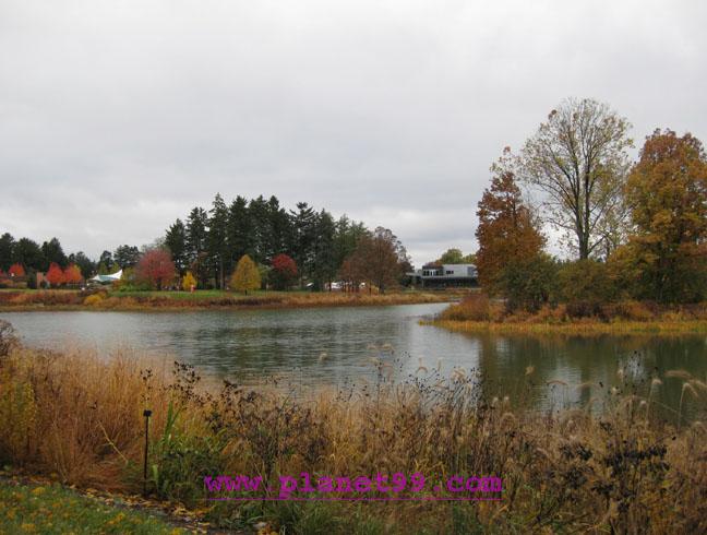 Morton Arboretum , Lisle