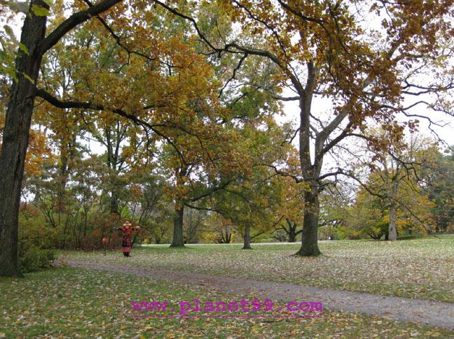 Morton Arboretum , Lisle