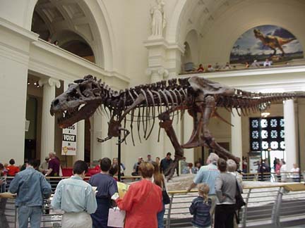 Field Museum of Natural History , Chicago