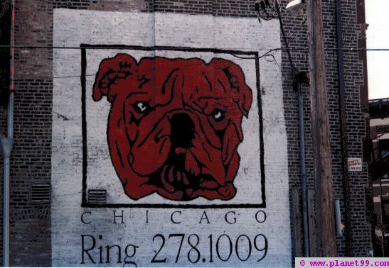 Chicago , Red Dog Club