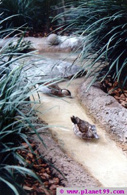 Milwaukee County Zoo , Milwaukee