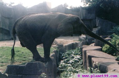 Milwaukee County Zoo , Milwaukee