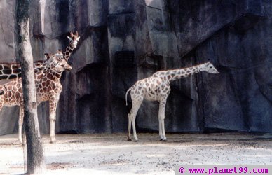 Milwaukee County Zoo , Milwaukee