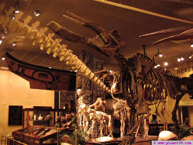 Milwaukee Public Museum , Milwaukee