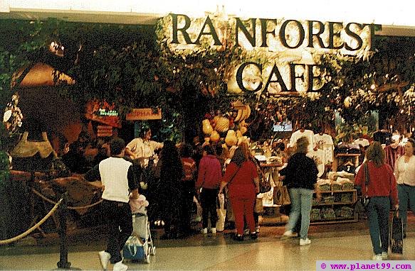 Rain Forest Cafe , Minneapolis