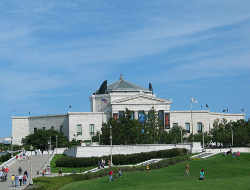 Shedd Aquarium , Chicago