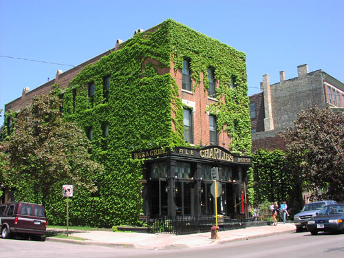 Charlie's Ale House  , Chicago