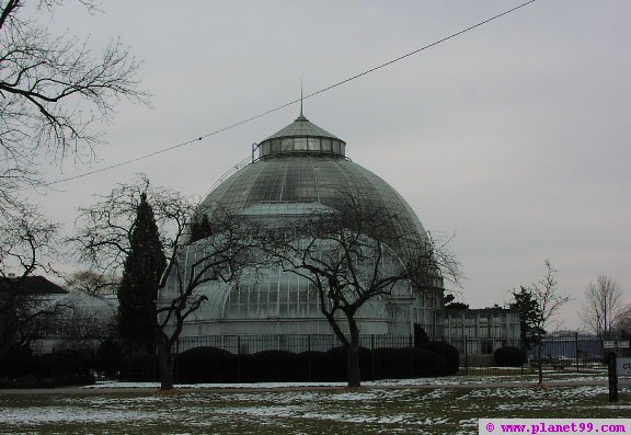 Belle Isle Conservatory , Detroit