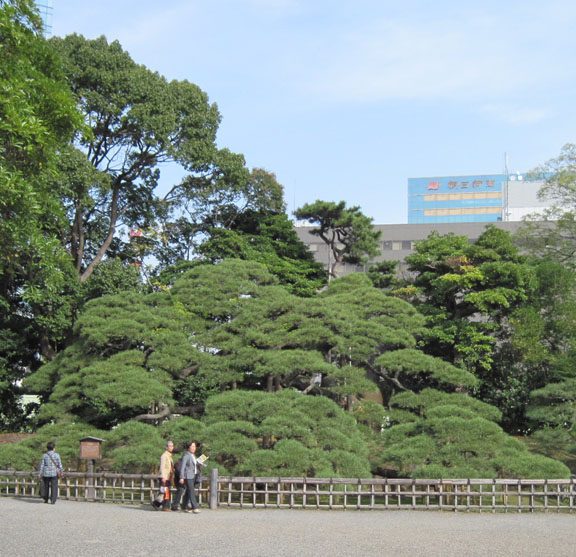 Hama Rikyu Gardens